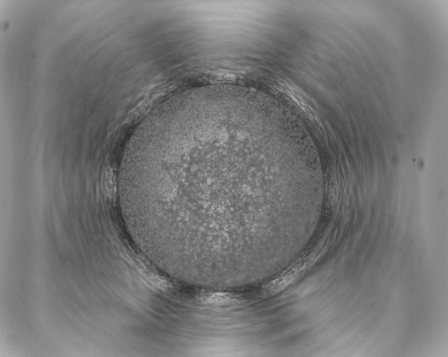 X0000087380467200705111740