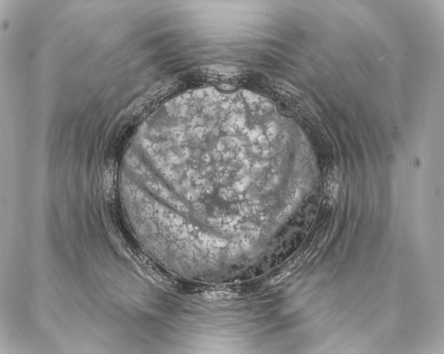 X0000087380468200705111740