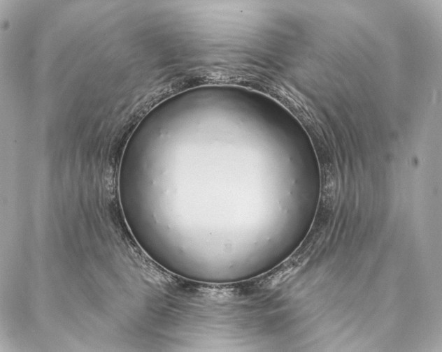 X0000087380469200705111740