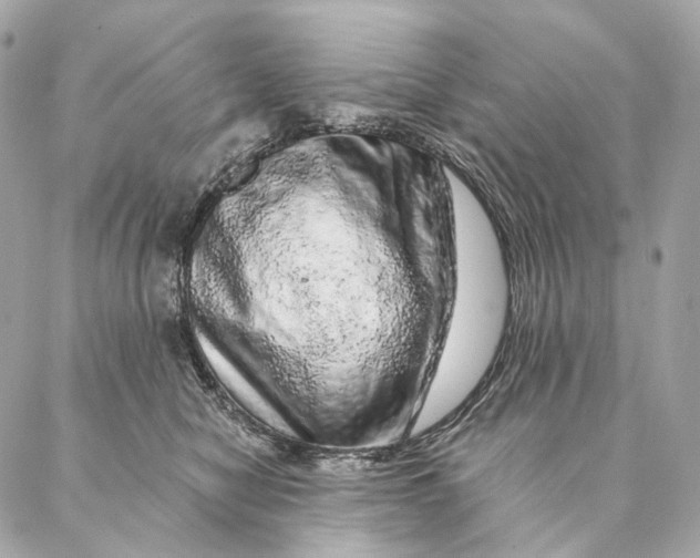 X0000087380470200705111740