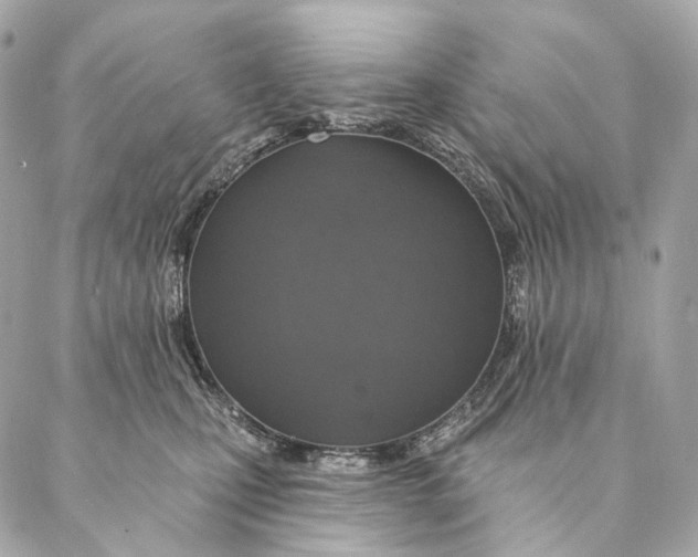 X0000087380471200705111740