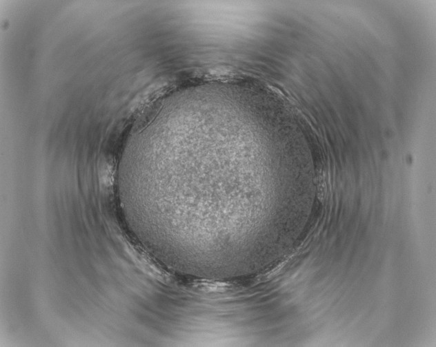 X0000087380472200705111740