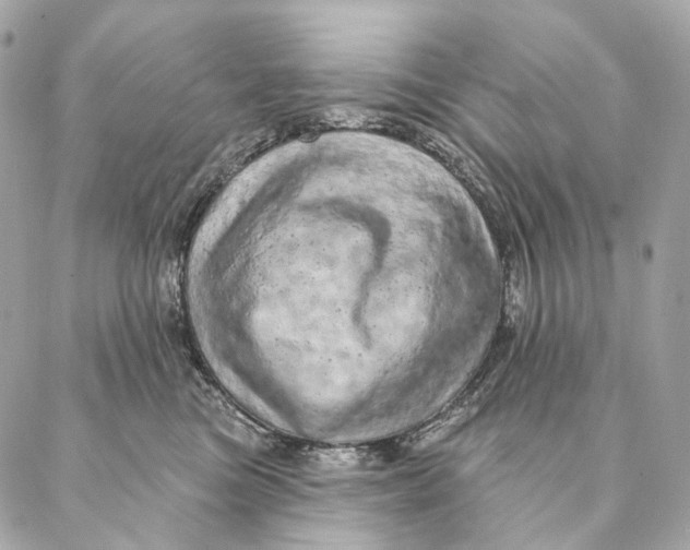 X0000087380473200705111740