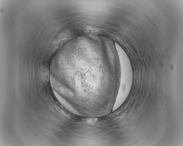 X0000087380474200705111740