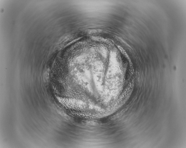 X0000087380475200705111740