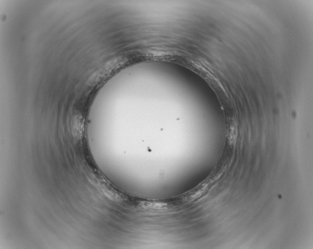 X0000087380476200705111740