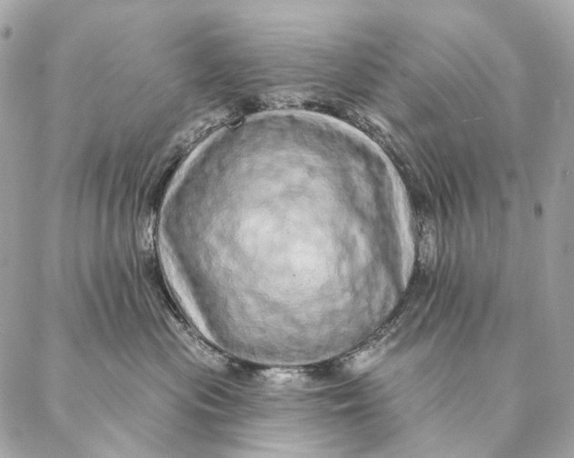 X0000087380477200705111740