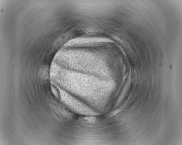 X0000087380478200705111740