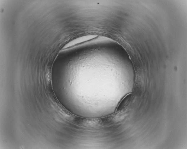 X0000087380479200705111740