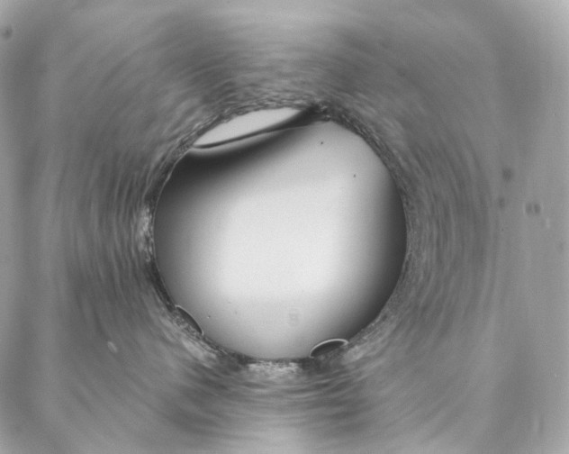 X0000087380480200705111740