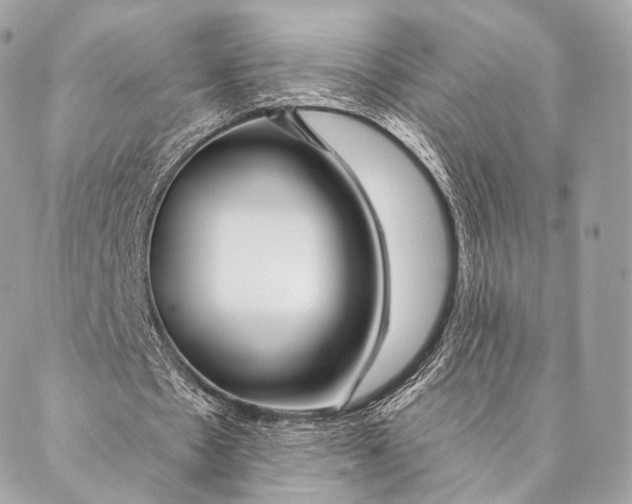 X0000087380481200705111739