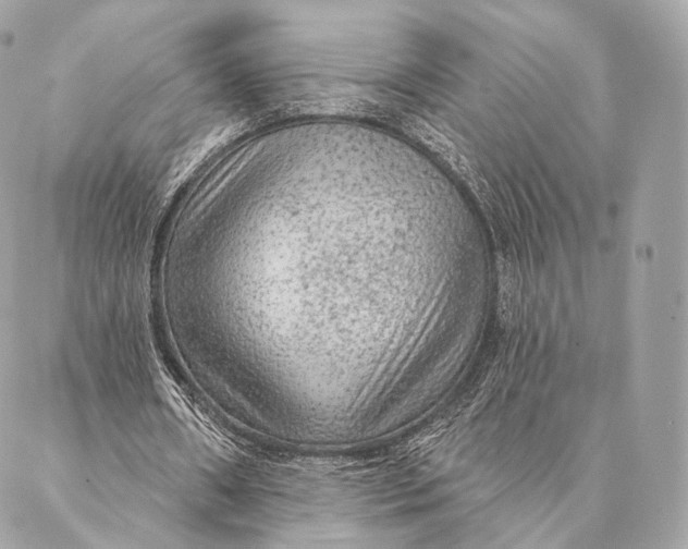 X0000087380482200705111739