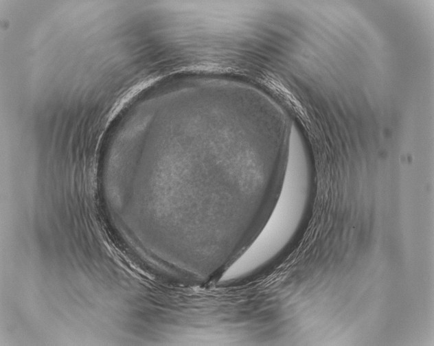 X0000087380484200705111739