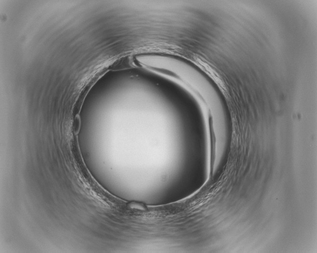 X0000087380485200705111739