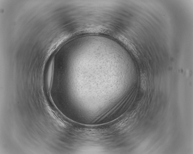 X0000087380486200705111739