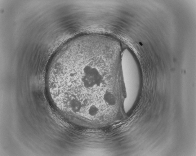 X0000087380487200705111739