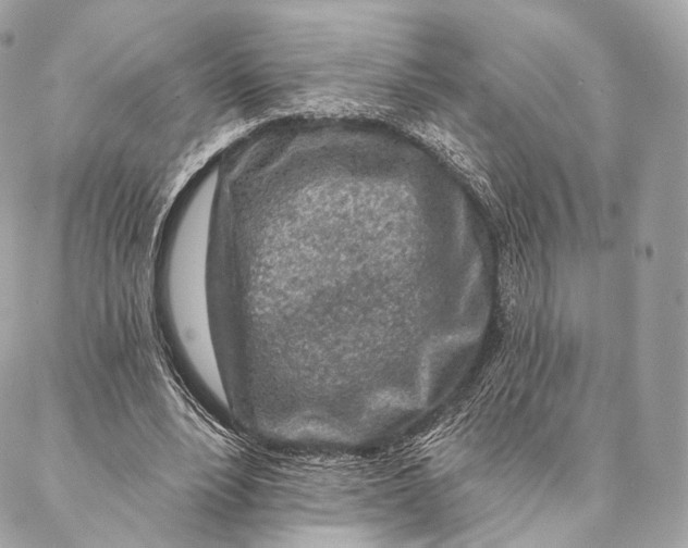 X0000087380488200705111739