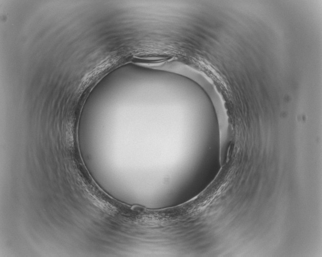 X0000087380489200705111739