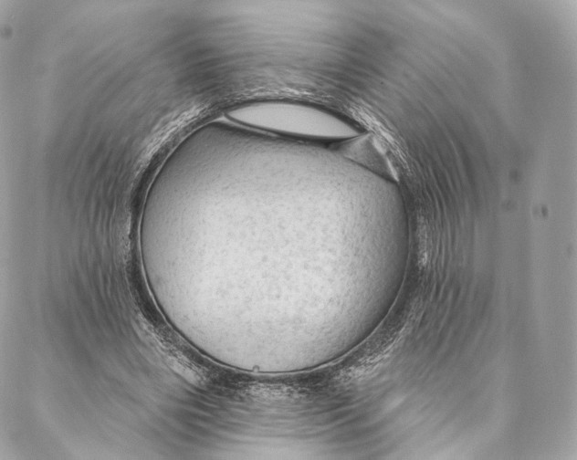 X0000087380490200705111739