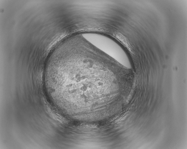 X0000087380491200705111739