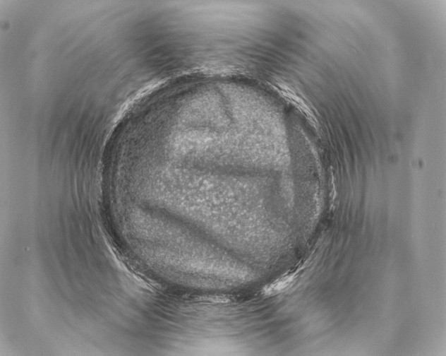 X0000087380492200705111739