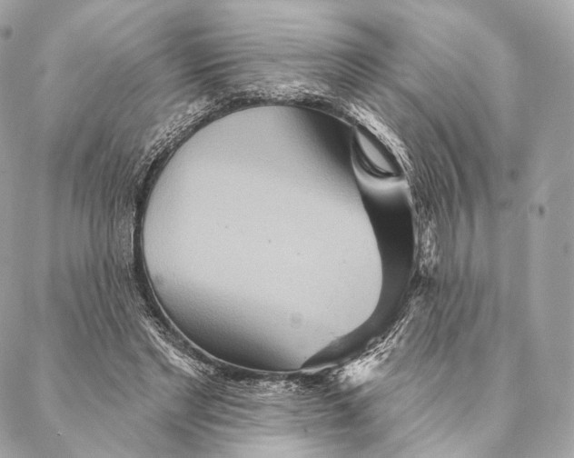 X0000087380493200705111739