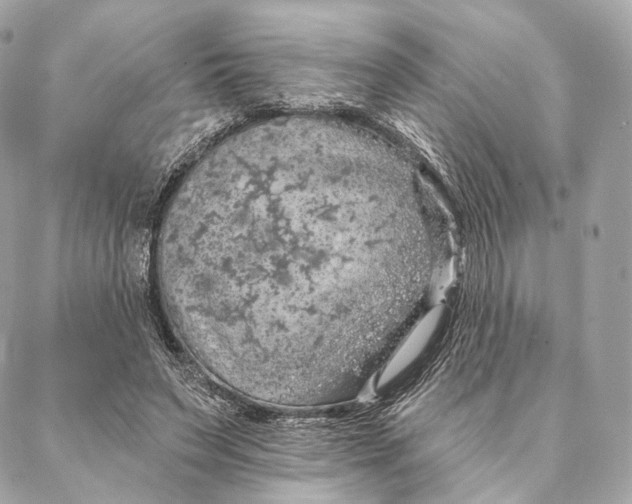 X0000087380495200705111739