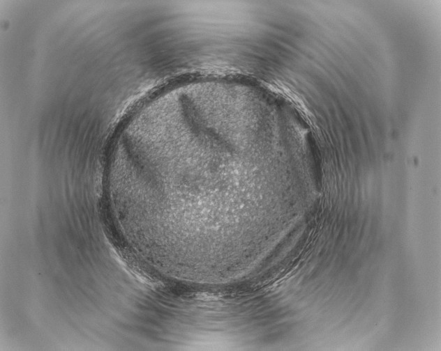 X0000087380496200705111739