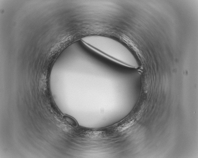 X0000087380497200705111739