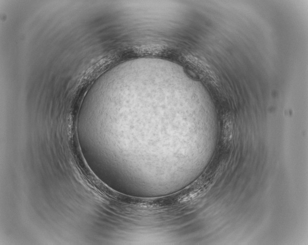 X0000087380498200705111739