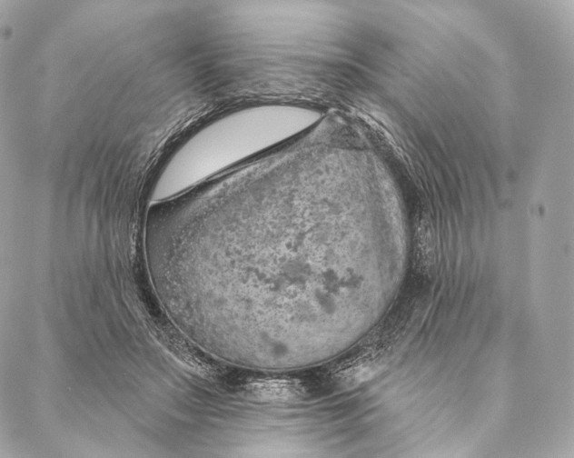 X0000087380499200705111739