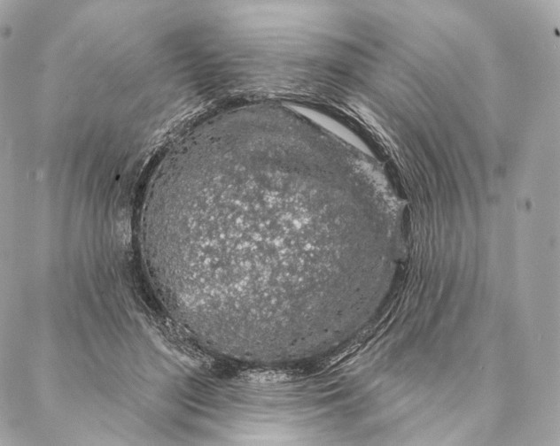 X0000087380500200705111739