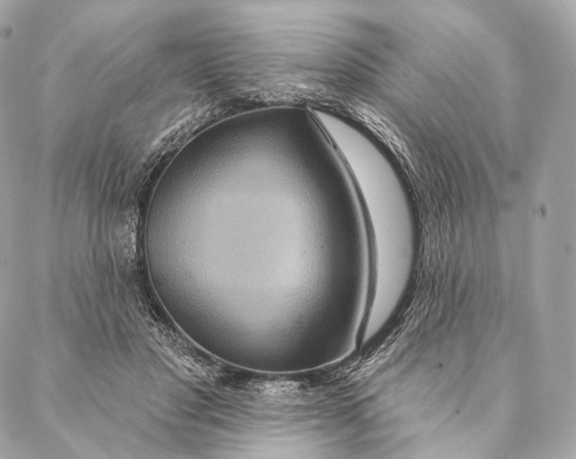 X0000087380501200705111739