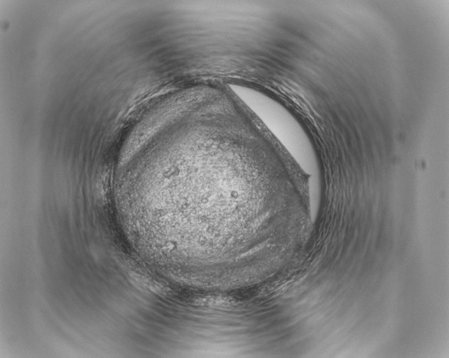 X0000087380503200705111739