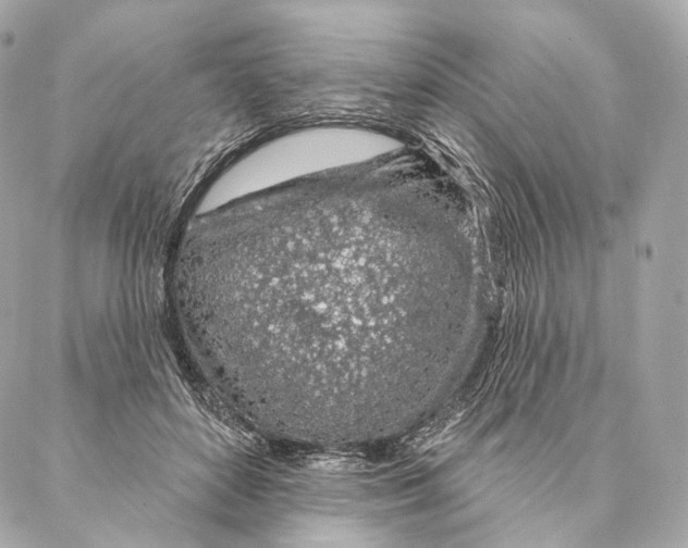 X0000087380504200705111739