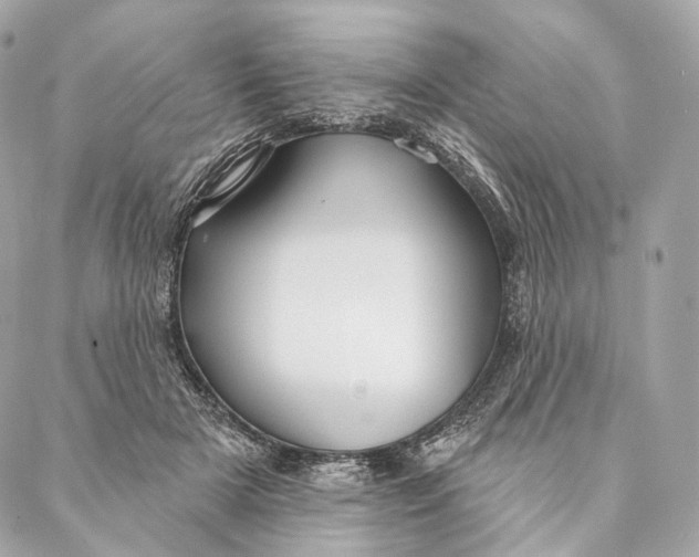 X0000087380505200705111739