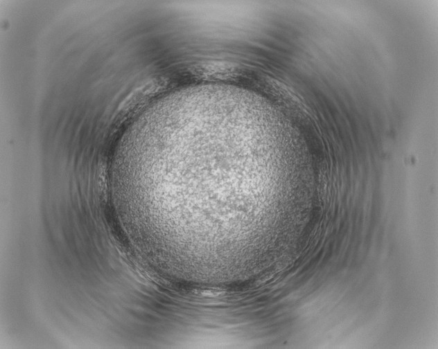 X0000087380506200705111739