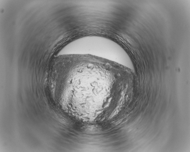 X0000087380507200705111739