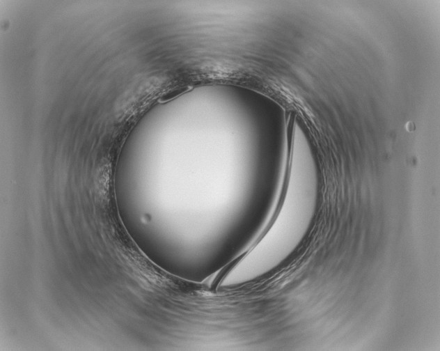 X0000087380509200705111739