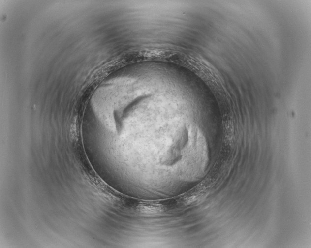 X0000087380510200705111739