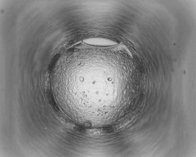 X0000087380511200705111739