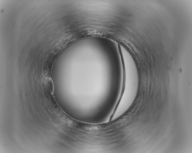 X0000087380513200705111739