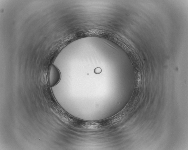 X0000087380514200705111739