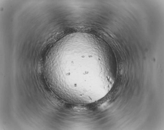 X0000087380515200705111739