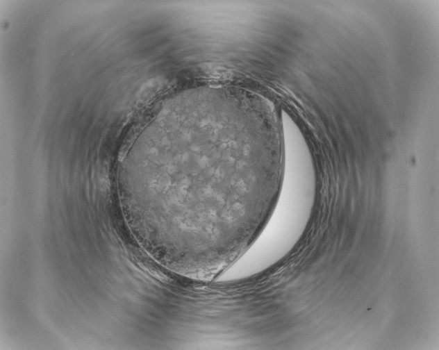 X0000087380516200705111739