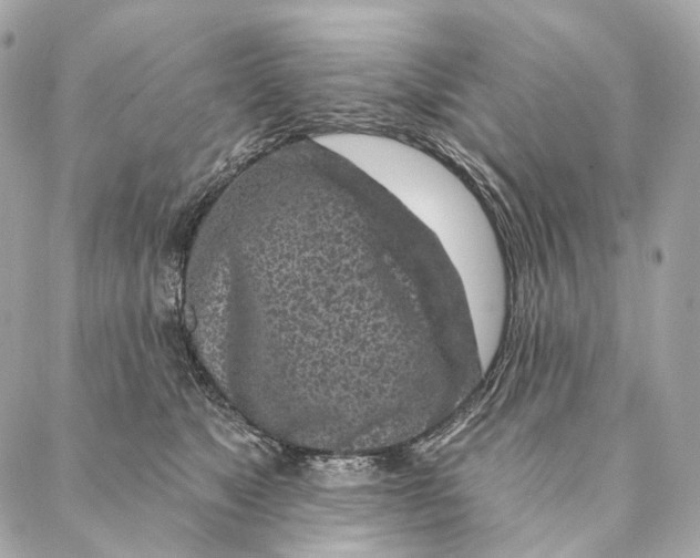 X0000087380517200705111739