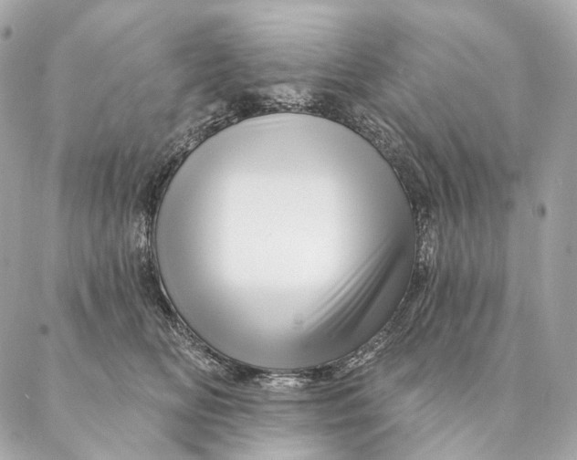 X0000087380518200705111739