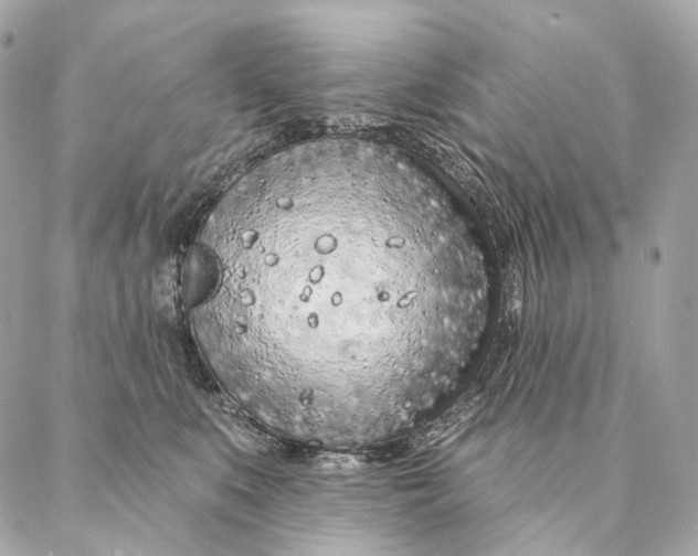 X0000087380519200705111739