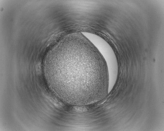 X0000087380520200705111739