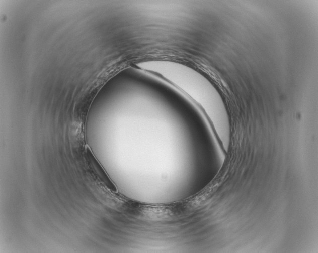 X0000087380521200705111739